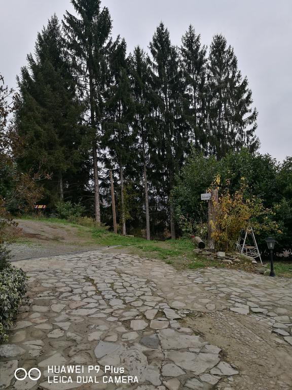 Bossolasco Agriturismo Davide מראה חיצוני תמונה